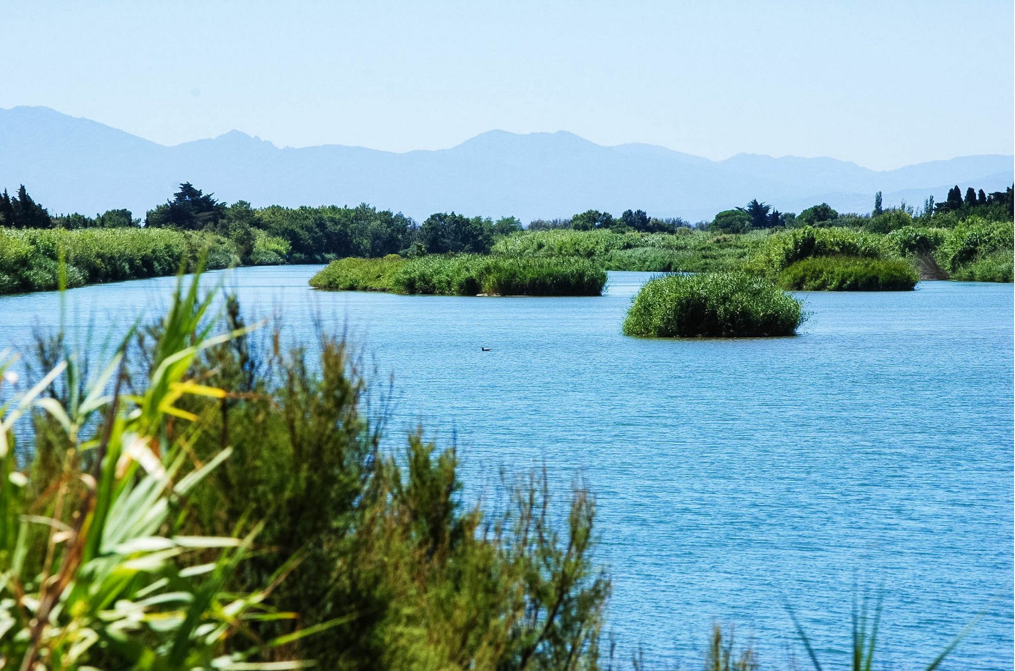 Ibis Styles Perpignan Canet En Roussillon Ngoại thất bức ảnh